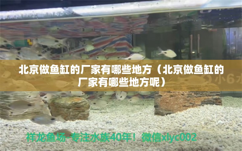 北京做魚缸的廠家有哪些地方（北京做魚缸的廠家有哪些地方呢）