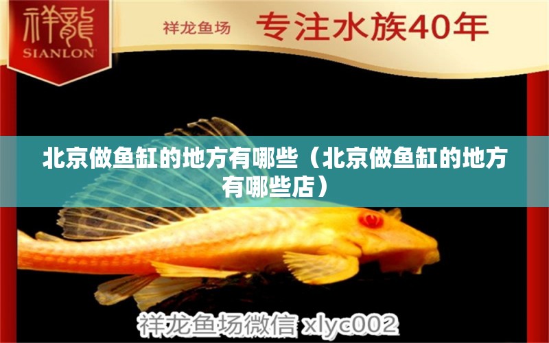 北京做魚缸的地方有哪些（北京做魚缸的地方有哪些店）