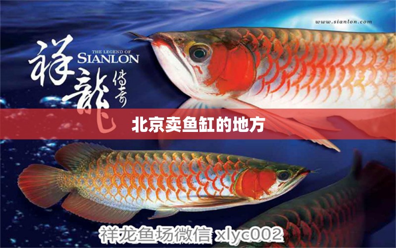 北京賣魚缸的地方 其他品牌魚缸