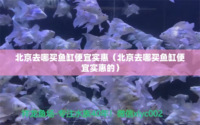 北京去哪買魚缸便宜實惠（北京去哪買魚缸便宜實惠的） 量子養(yǎng)魚技術(shù)