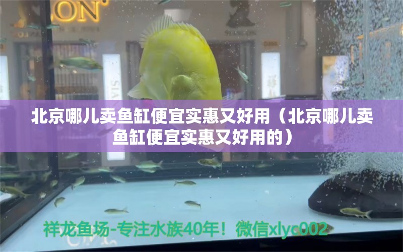 北京哪兒賣魚缸便宜實惠又好用（北京哪兒賣魚缸便宜實惠又好用的）