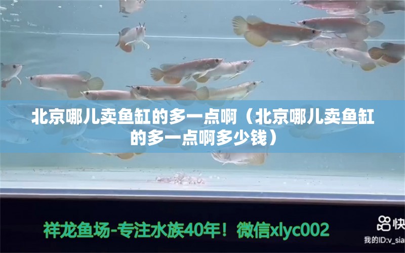 北京哪兒賣魚缸的多一點(diǎn)?。ū本┠膬嘿u魚缸的多一點(diǎn)啊多少錢） 祥龍水族醫(yī)院