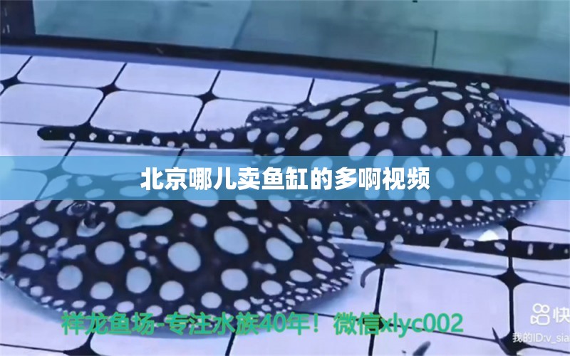 北京哪兒賣魚缸的多啊視頻 水族問答 第2張