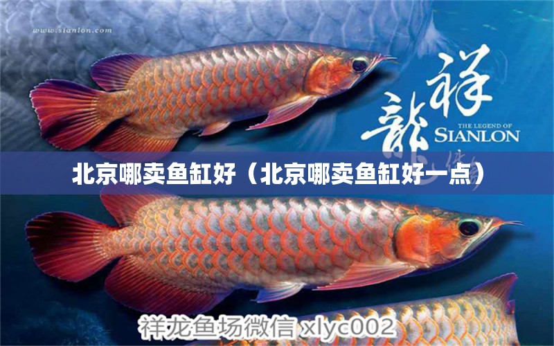 北京哪賣魚缸好（北京哪賣魚缸好一點） 其他品牌魚缸