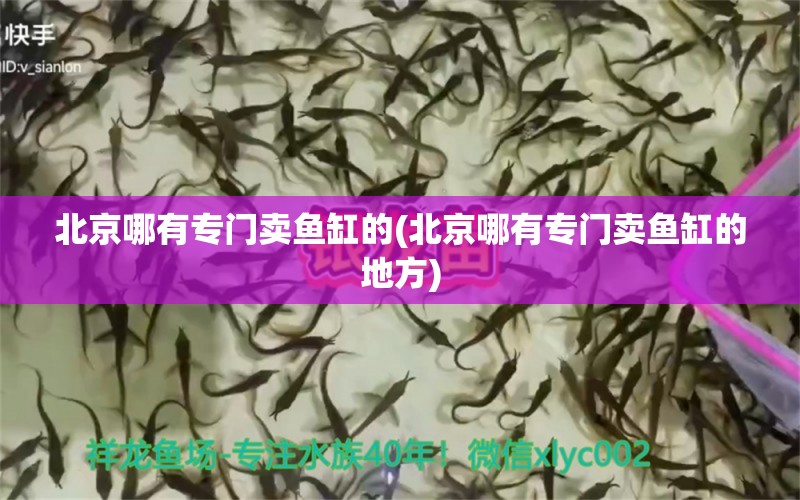 北京哪有專門賣魚缸的(北京哪有專門賣魚缸的地方)