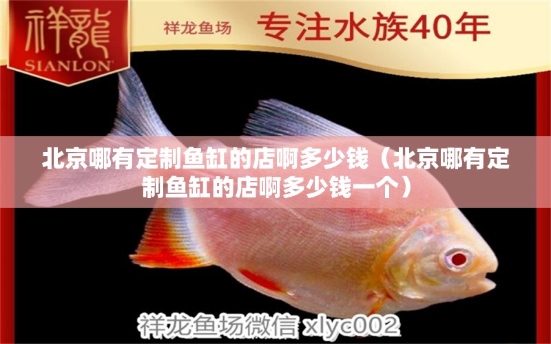 北京哪有定制魚缸的店啊多少錢（北京哪有定制魚缸的店啊多少錢一個） 金頭過背金龍魚