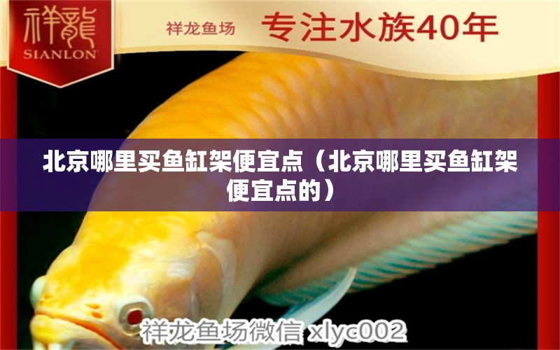 北京哪里買魚缸架便宜點(diǎn)（北京哪里買魚缸架便宜點(diǎn)的） 量子養(yǎng)魚技術(shù)