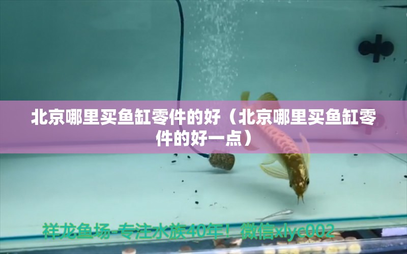 北京哪里買魚缸零件的好（北京哪里買魚缸零件的好一點(diǎn)） 九鼎魚缸