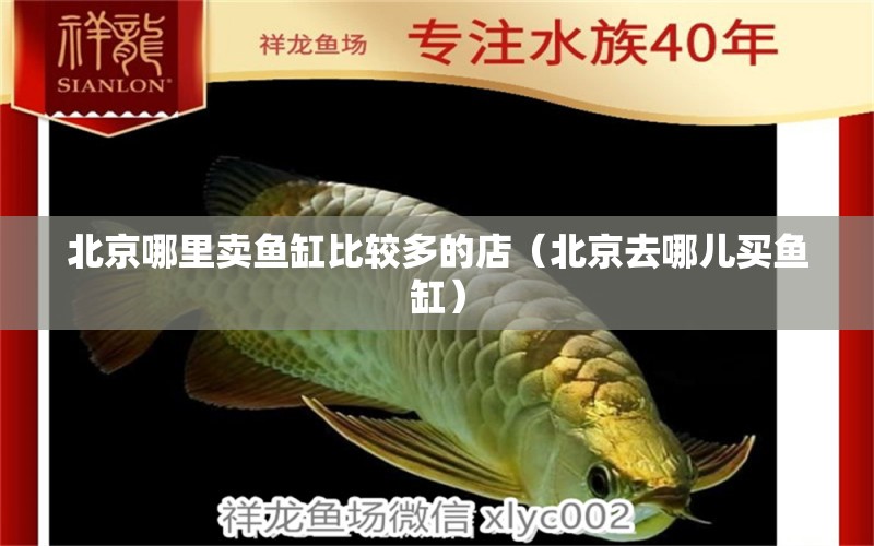 北京哪里賣魚缸比較多的店（北京去哪兒買魚缸）