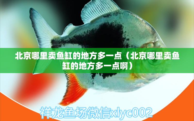 北京哪里賣(mài)魚(yú)缸的地方多一點(diǎn)（北京哪里賣(mài)魚(yú)缸的地方多一點(diǎn)?。?量子養(yǎng)魚(yú)技術(shù)