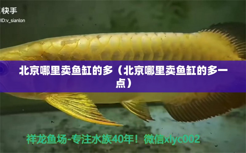 北京哪里賣魚缸的多（北京哪里賣魚缸的多一點）