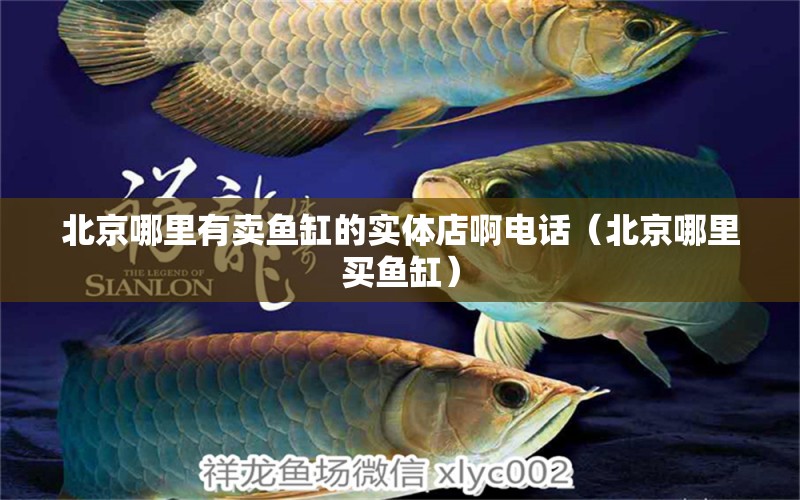 北京哪里有賣魚缸的實體店啊電話（北京哪里買魚缸） 埃及神仙魚 第2張