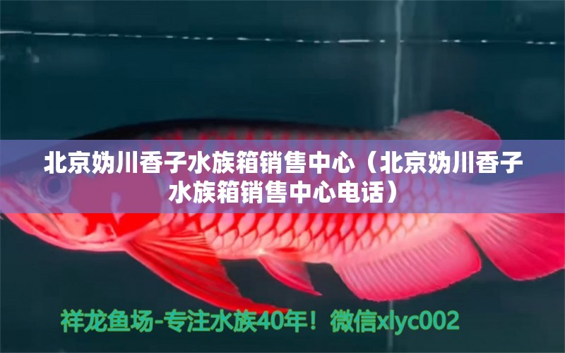 北京媯川香子水族箱銷售中心（北京媯川香子水族箱銷售中心電話） 魚(yú)缸/水族箱