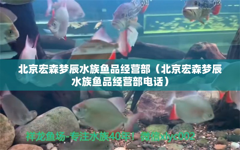 北京宏森夢(mèng)辰水族魚品經(jīng)營(yíng)部（北京宏森夢(mèng)辰水族魚品經(jīng)營(yíng)部電話） 全國(guó)水族館企業(yè)名錄