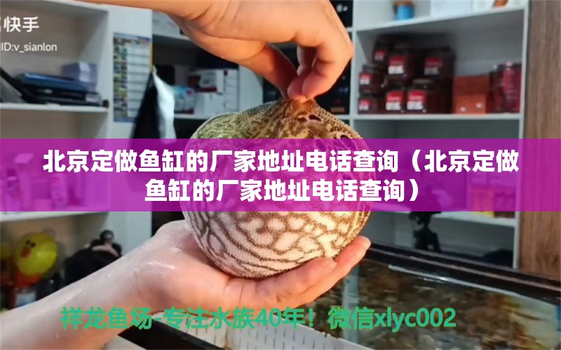 北京定做魚缸的廠家地址電話查詢（北京定做魚缸的廠家地址電話查詢） 觀賞魚市場（混養(yǎng)魚）