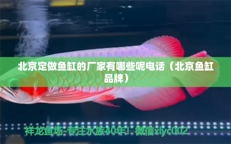 北京定做魚缸的廠家有哪些呢電話（北京魚缸品牌）