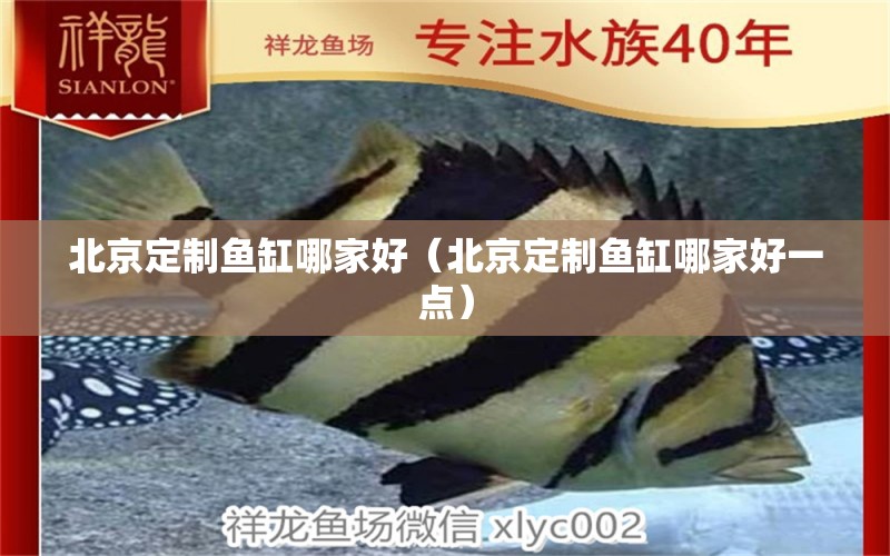 北京定制魚(yú)缸哪家好（北京定制魚(yú)缸哪家好一點(diǎn)）