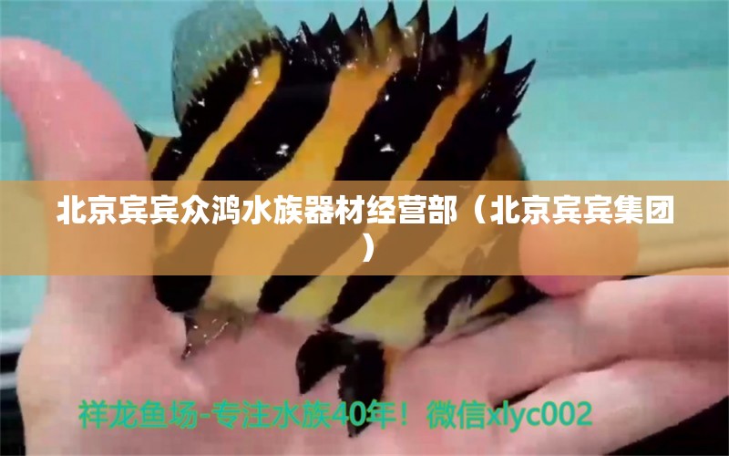 北京賓賓眾鴻水族器材經(jīng)營部（北京賓賓集團）