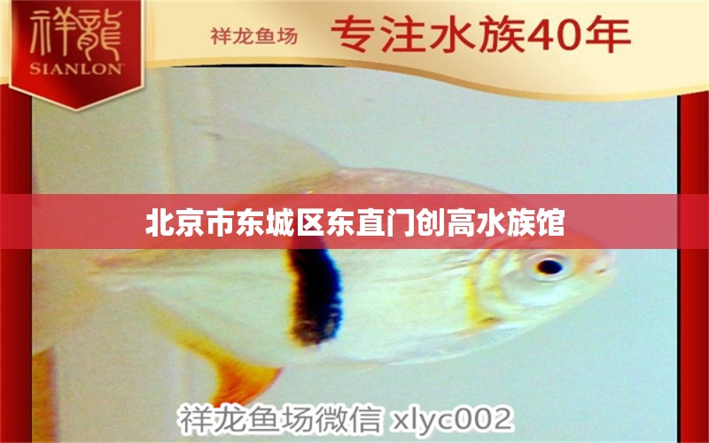 北京市東城區(qū)東直門創(chuàng)高水族館 全國水族館企業(yè)名錄