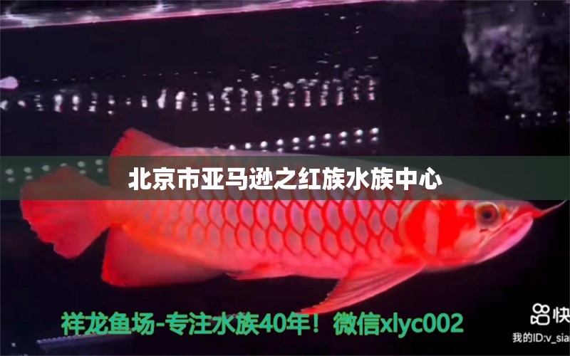 北京市亞馬遜之紅族水族中心