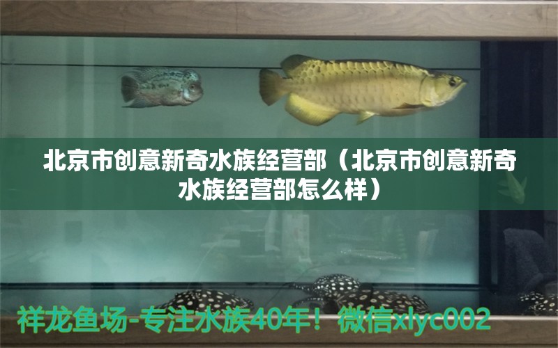 北京市創(chuàng)意新奇水族經(jīng)營部（北京市創(chuàng)意新奇水族經(jīng)營部怎么樣）