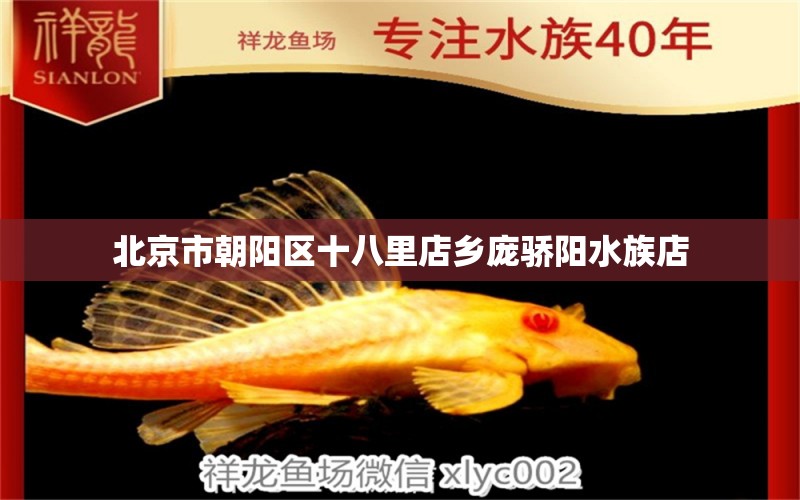 北京市朝陽區(qū)十八里店鄉(xiāng)龐驕陽水族店 全國水族館企業(yè)名錄