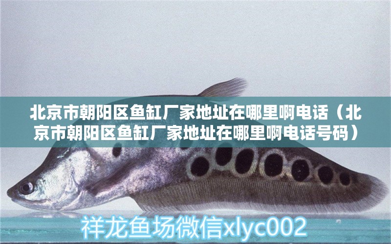 北京市朝陽區(qū)魚缸廠家地址在哪里啊電話（北京市朝陽區(qū)魚缸廠家地址在哪里啊電話號碼） 其他品牌魚缸