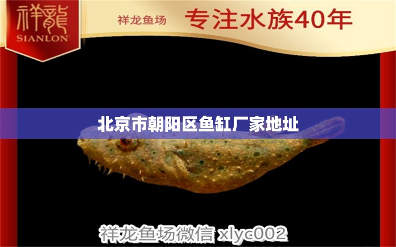 北京市朝陽區(qū)魚缸廠家地址 其他品牌魚缸