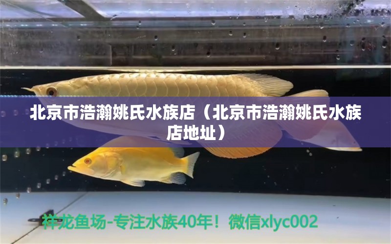 北京市浩瀚姚氏水族店（北京市浩瀚姚氏水族店地址） 全國水族館企業(yè)名錄