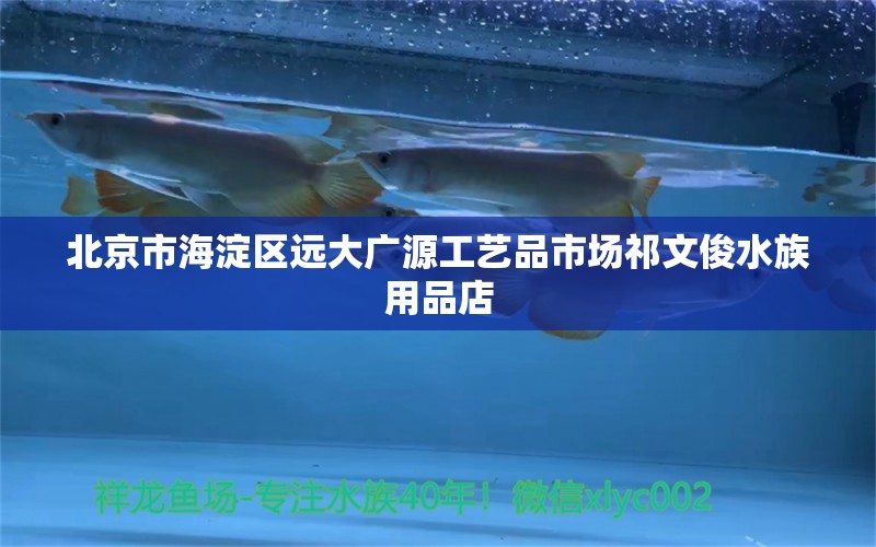 北京市海淀區(qū)遠大廣源工藝品市場祁文俊水族用品店 水族用品