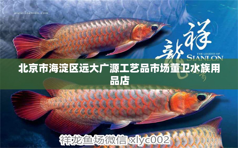 北京市海淀區(qū)遠大廣源工藝品市場董衛(wèi)水族用品店 水族用品