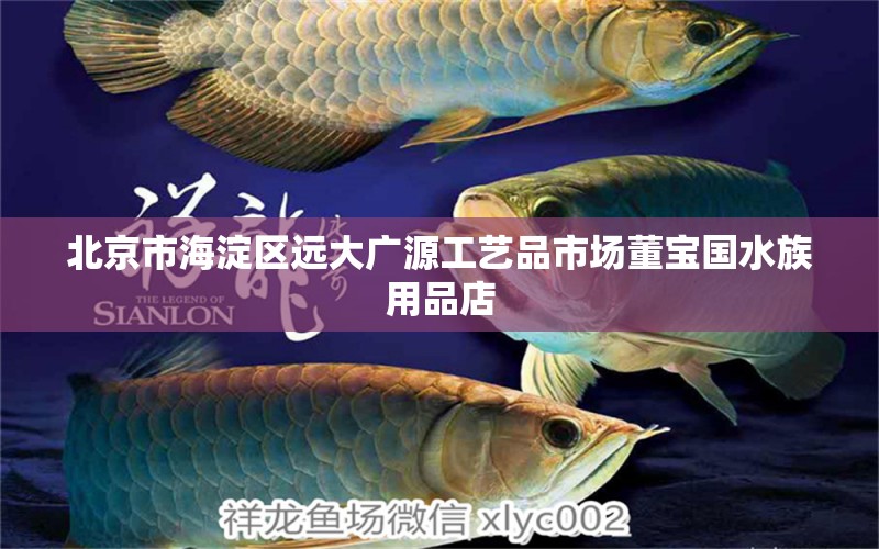 北京市海淀區(qū)遠(yuǎn)大廣源工藝品市場董寶國水族用品店