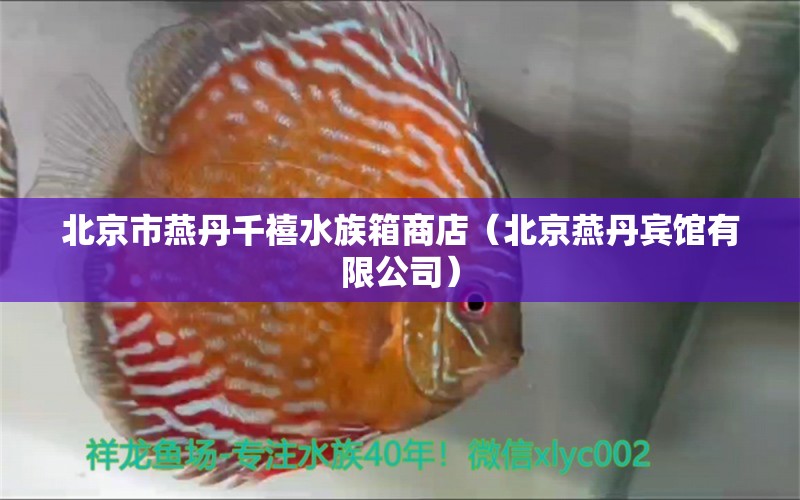 北京市燕丹千禧水族箱商店（北京燕丹賓館有限公司）