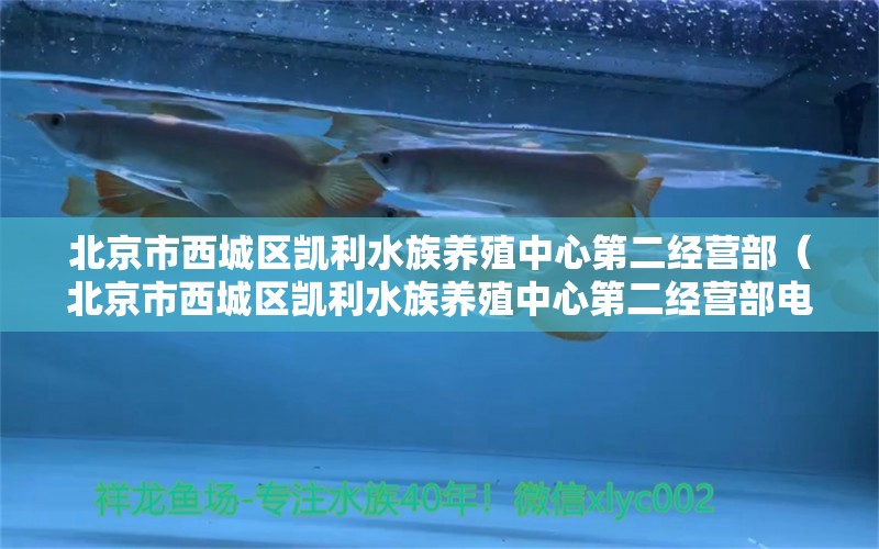 北京市西城區(qū)凱利水族養(yǎng)殖中心第二經(jīng)營部（北京市西城區(qū)凱利水族養(yǎng)殖中心第二經(jīng)營部電話） 全國水族館企業(yè)名錄