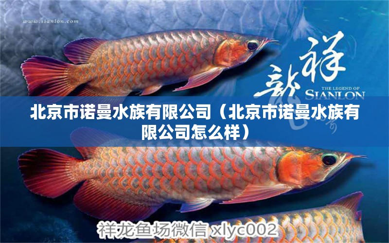 北京市諾曼水族有限公司（北京市諾曼水族有限公司怎么樣）