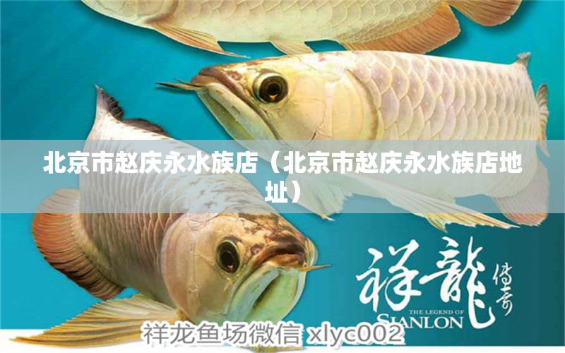 北京市趙慶永水族店（北京市趙慶永水族店地址） 全國水族館企業(yè)名錄