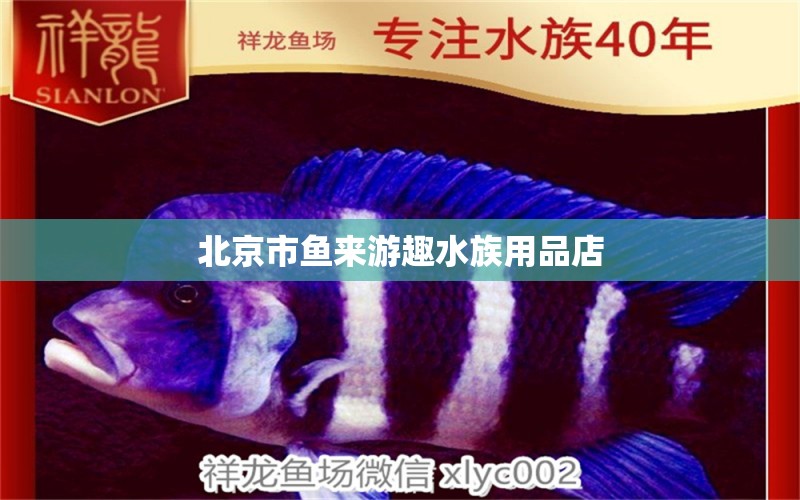 北京市魚來游趣水族用品店 水族用品