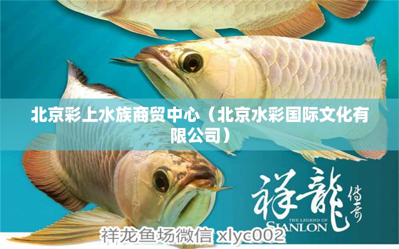 北京彩上水族商貿(mào)中心（北京水彩國(guó)際文化有限公司）