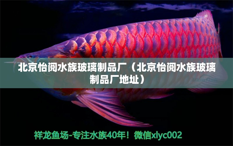 北京怡閱水族玻璃制品廠（北京怡閱水族玻璃制品廠地址）