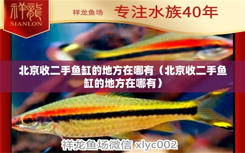 北京收二手魚缸的地方在哪有（北京收二手魚缸的地方在哪有）