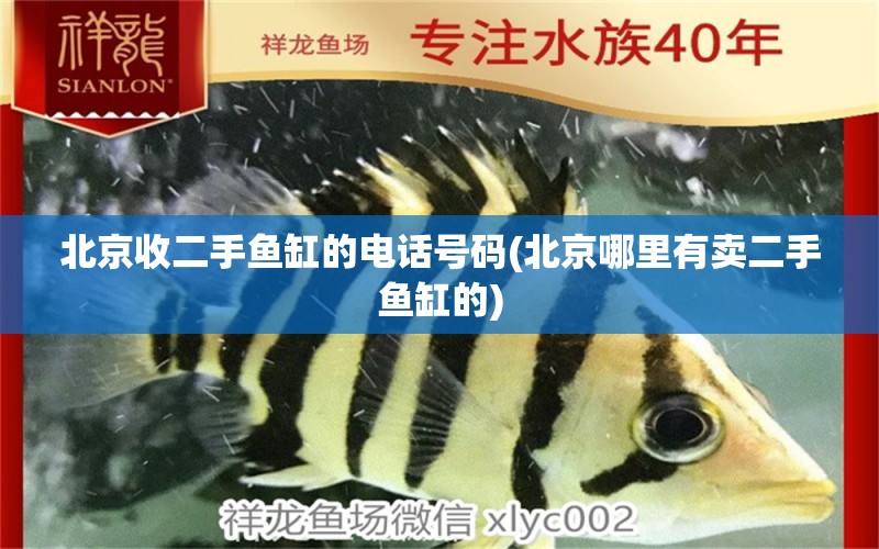 北京收二手魚(yú)缸的電話號(hào)碼(北京哪里有賣(mài)二手魚(yú)缸的) 魚(yú)缸/水族箱