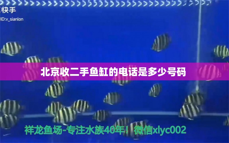 北京收二手魚缸的電話是多少號(hào)碼 