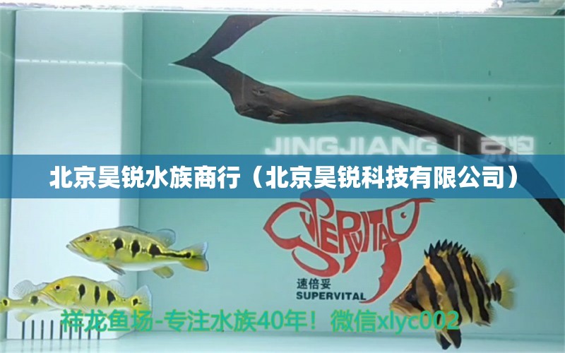 北京昊銳水族商行（北京昊銳科技有限公司） 全國(guó)水族館企業(yè)名錄