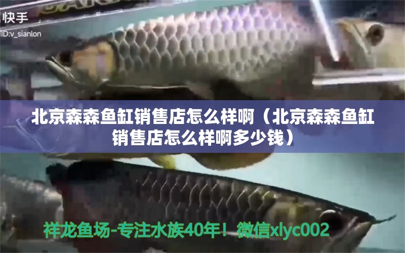 北京森森魚缸銷售店怎么樣?。ū本┥~缸銷售店怎么樣啊多少錢）