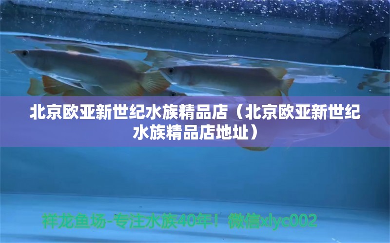 北京歐亞新世紀(jì)水族精品店（北京歐亞新世紀(jì)水族精品店地址）