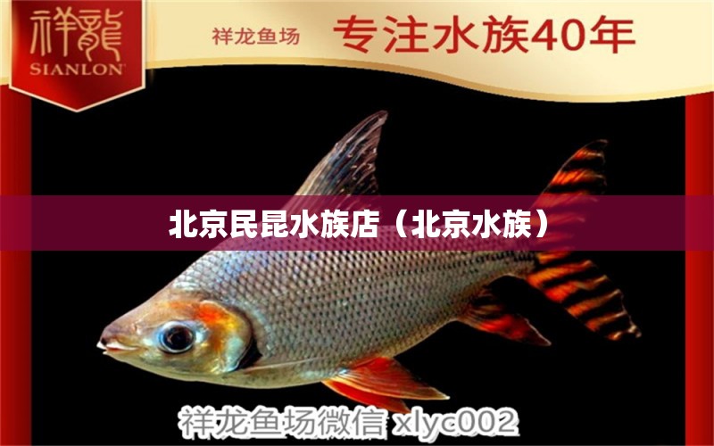 北京民昆水族店（北京水族） 全國水族館企業(yè)名錄