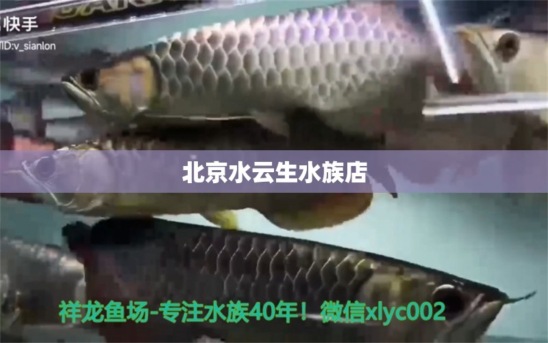 北京水云生水族店 全國水族館企業(yè)名錄