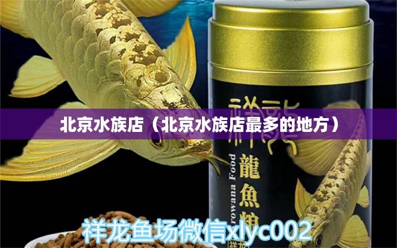 北京水族店（北京水族店最多的地方） 觀賞魚(yú)市場(chǎng)