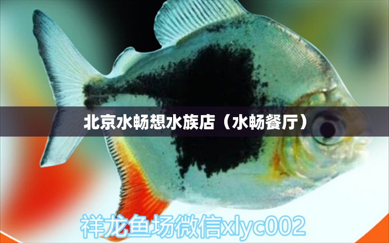 北京水暢想水族店（水暢餐廳） 全國(guó)水族館企業(yè)名錄