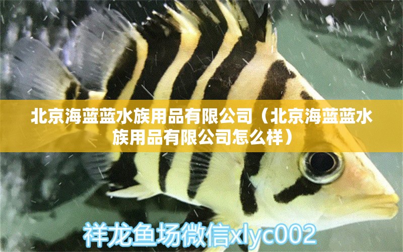 北京海藍(lán)藍(lán)水族用品有限公司（北京海藍(lán)藍(lán)水族用品有限公司怎么樣）